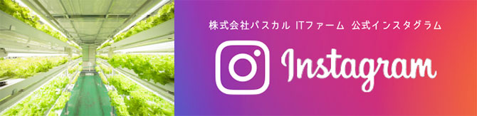 株式会社パスカル ITファーム 公式インスタグラムはこちら