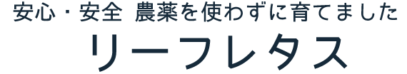 安心･安全　農薬を使わずに育てました　リーフレタス